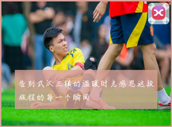 告别武汉三镇的温暖时光感恩这段旅程的每一个瞬间
