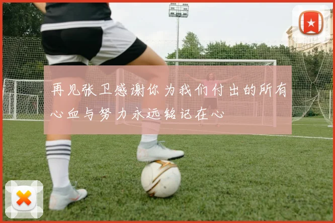 再见张卫感谢你为我们付出的所有心血与努力永远铭记在心
