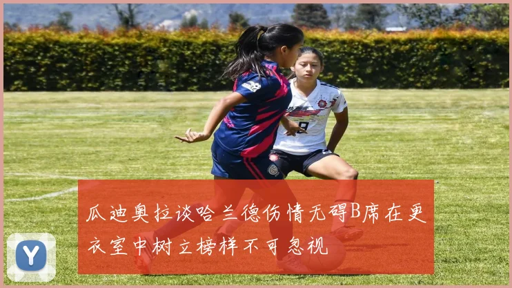 瓜迪奥拉谈哈兰德伤情无碍B席在更衣室中树立榜样不可忽视