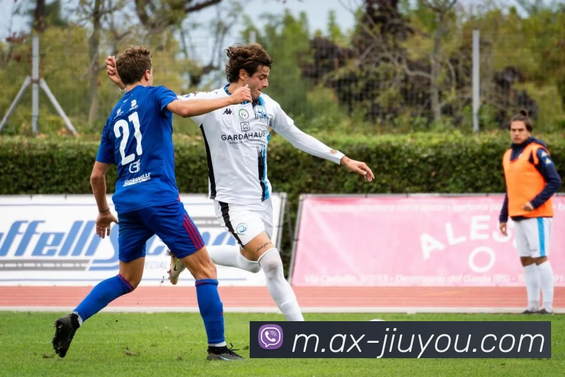 App Interface Preview