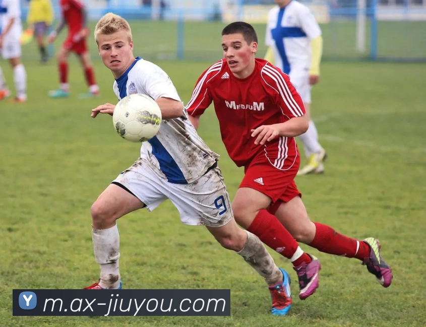 九游体育APP 封面图